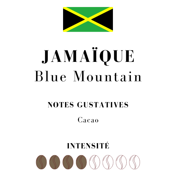 Café en grain Blue Mountain Jamaïque 250g