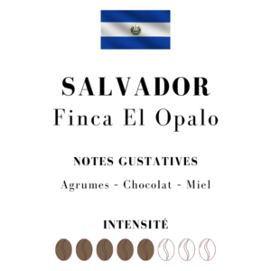 Café El Salvador Finca El Opalo