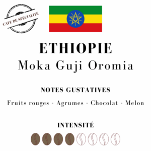 Café Ethiopie Moka Guji Oromia