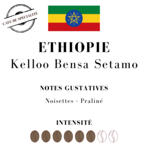 Café de spécialité Ethiopie Kelloo Bensa Setamo