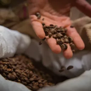 Nos Cafés